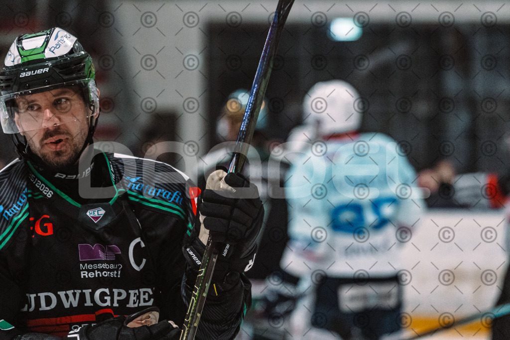 Alligators_vs_Heilbronn_08_02_2026-36 | Höchstadt Alligators Fotogalerie: Eishockey-Action aus Franken. Professionelle Spielfotos, Portraits & Stadionbilder zum Download. Jetzt entdecken! - Realisiert mit Pictrs.com