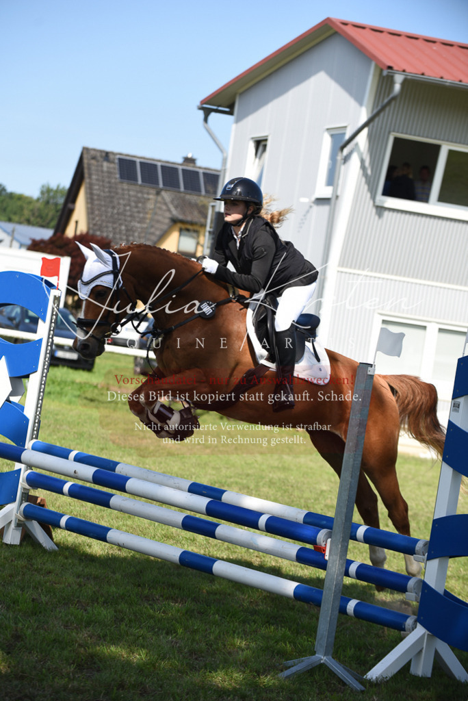 DSC_9118 | Pferde- und Turnierfotografie in Westsachsen. Pferdeportraits, Auftragszeichnungen und intuitive Kunst.
