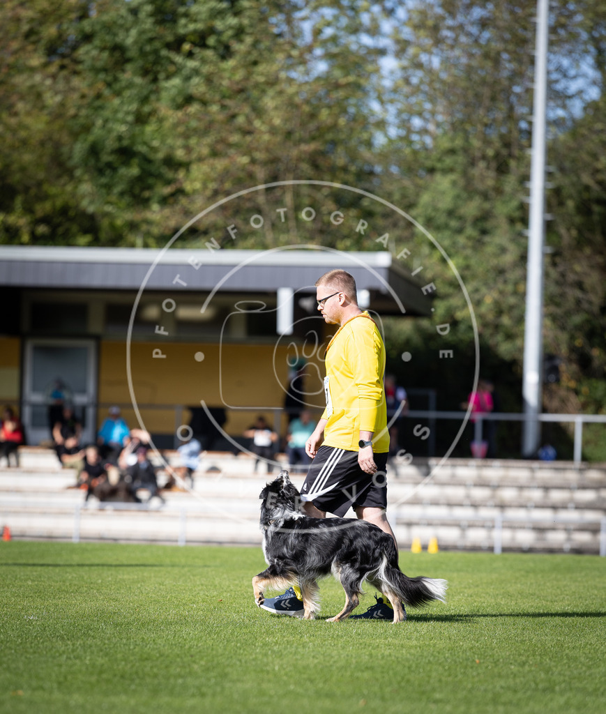 Pfotenfotografie_DV3A4888 | Hundefotografie, Tierfotograf, Pfotenfotografie, Fotoshooting Hund, Hunde Portrait, Hundesport, Hundeportraits, Heideshooting, Hunde, Sportfotograf, Hundefotograf, Turnierhundsport, THS,  - Realisiert mit Pictrs.com