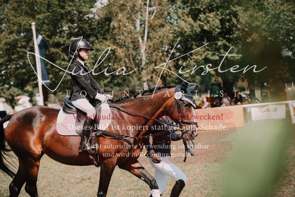 DSC_5994 | Pferde- und Turnierfotografie in Westsachsen. Pferdeportraits, Auftragszeichnungen und intuitive Kunst.