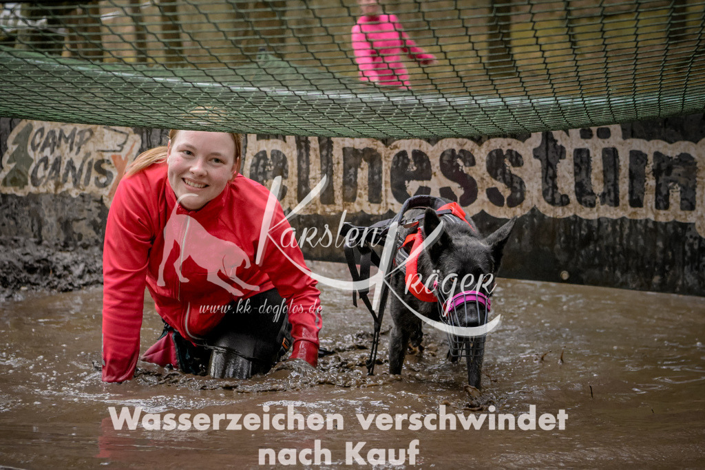 1034_ZZ91537 | kk-dogfotos
