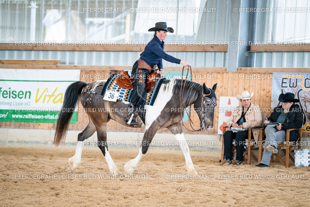 DSC02813 | Pferdegrafie