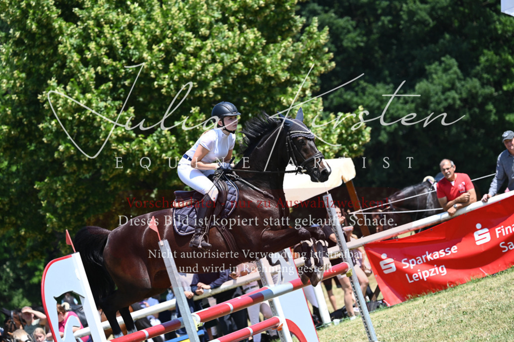 DSC_0734 | Pferde- und Turnierfotografie in Westsachsen. Pferdeportraits, Auftragszeichnungen und intuitive Kunst.