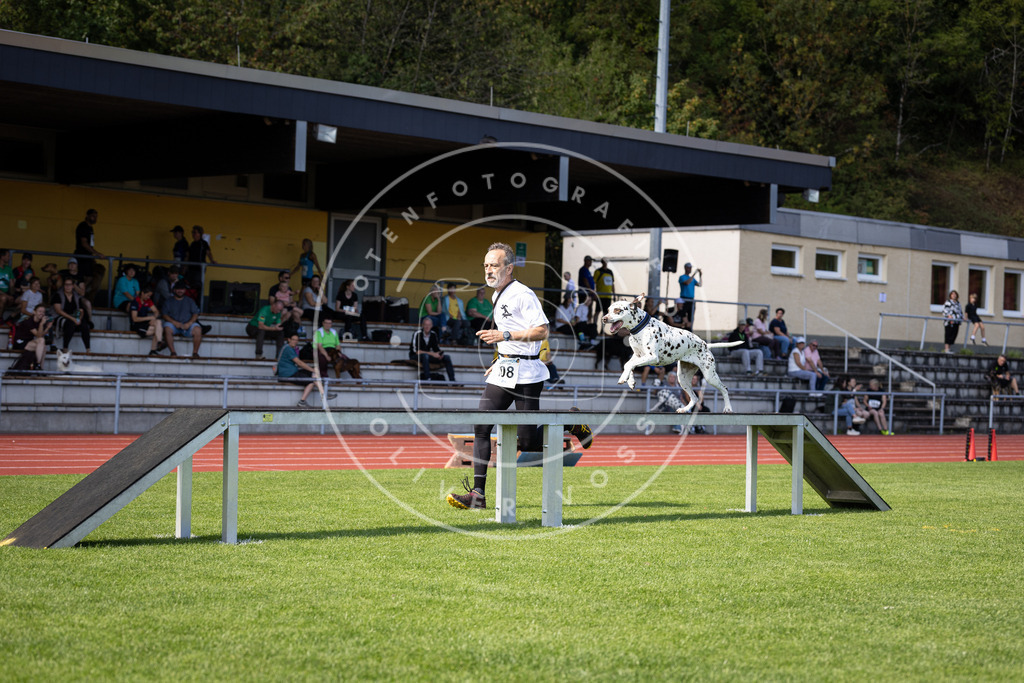 Pfotenfotografie_DV3A8207 | Hundefotografie, Tierfotograf, Pfotenfotografie, Fotoshooting Hund, Hunde Portrait, Hundesport, Hundeportraits, Heideshooting, Hunde, Sportfotograf, Hundefotograf, Turnierhundsport, THS,  - Realisiert mit Pictrs.com