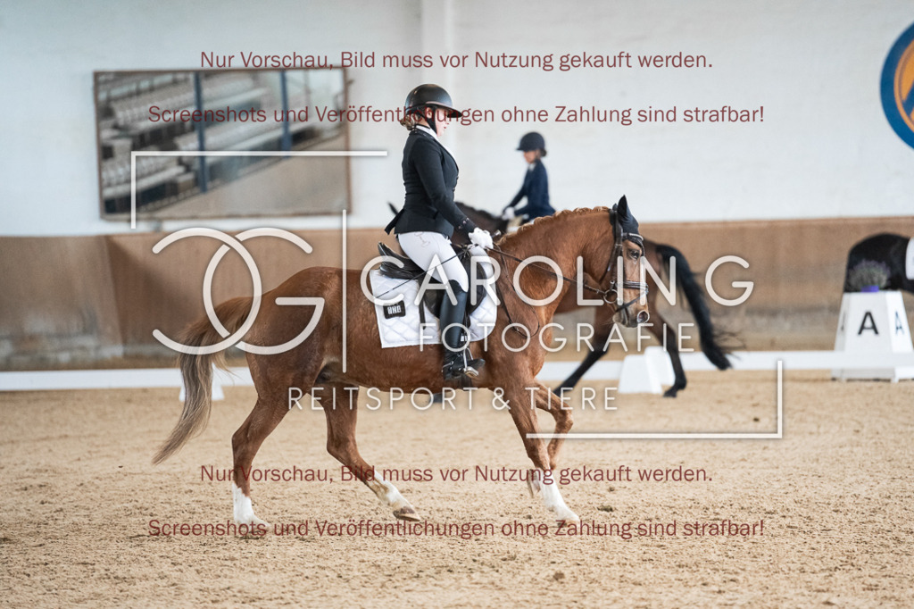 DSC01841 | Reitturnier_Göppingen_April_2026, Lorina_Fetzer, Bonita
