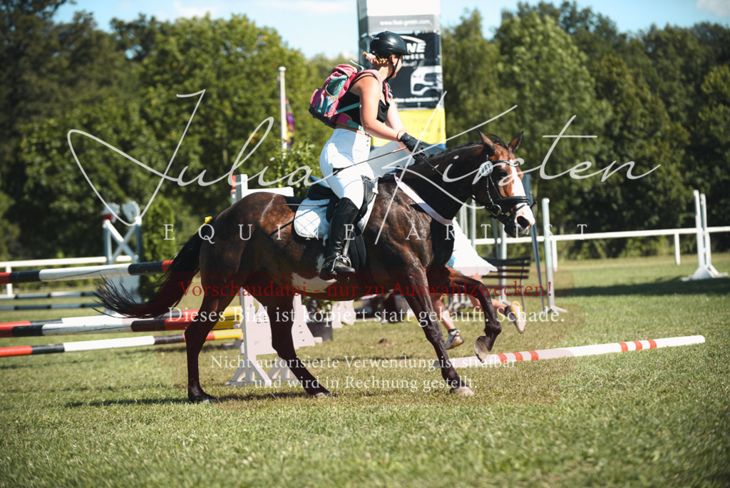DSC_7441 | Pferde- und Turnierfotografie in Westsachsen. Pferdeportraits, Auftragszeichnungen und intuitive Kunst.