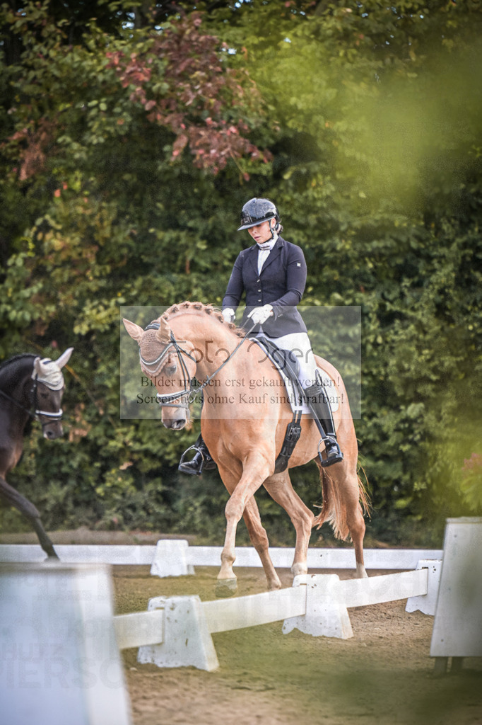 DOS_0430 | Entdecke hochwertige Reitturnierfotos von Foto Oger. Professionell, emotional und authentisch – jetzt Lieblingsmomente im Shop bestellen.Deutschlandweite Turnierfotografie. - Realisiert mit Pictrs.com