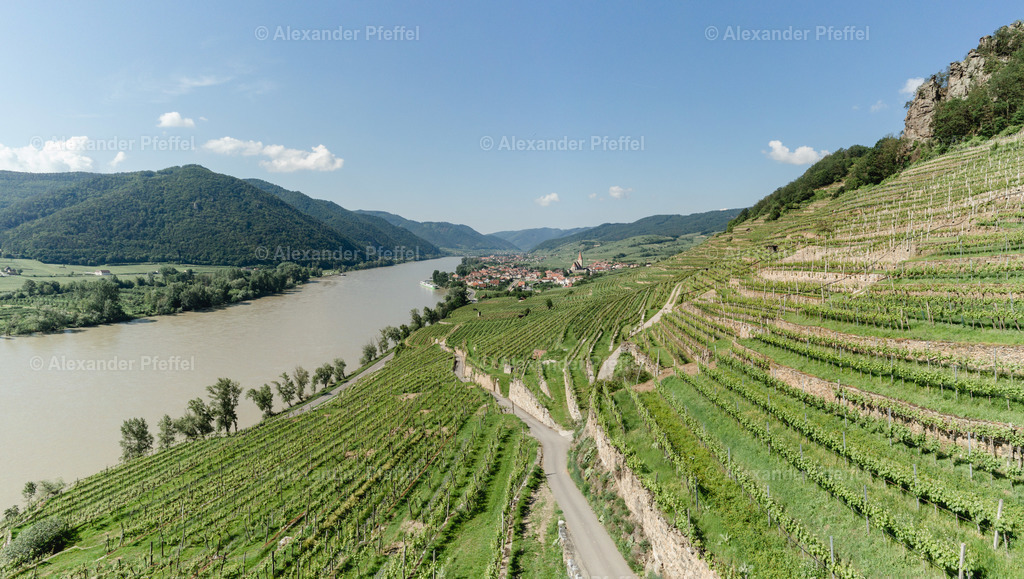 wachau-weissenkirchen_c_alexander_pfeffel--36 | alexander-pfeffel - Realisiert mit Pictrs.com