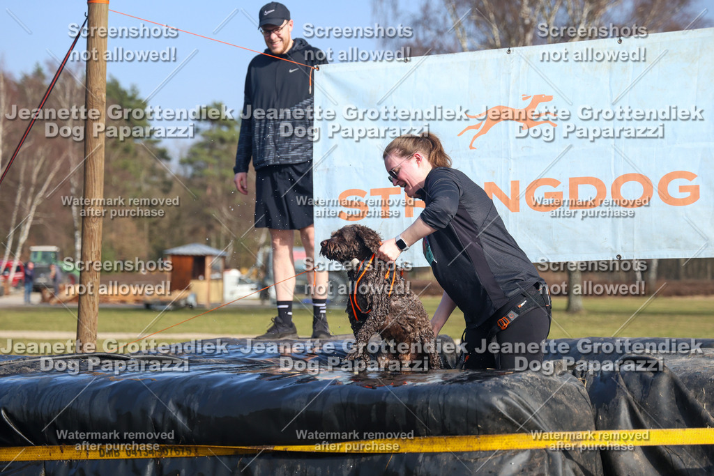 Dog Paparazzi - Strongdog North Mrz26-3229 | Dog Paparazzi Jeanette Grottendiek Fotografie & Videografie - Realisiert mit Pictrs.com