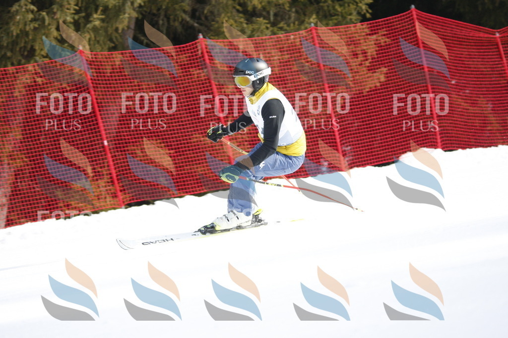 D8203 | holidayphoto