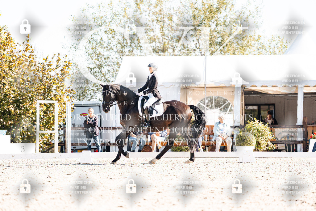 CK908895 | Turnierfotografie Pferdefotografie Trier Rheinland-Pfalz Pferdesport Reitsport Tierfotografie Sportfotografie Pferdevideo Pferdevideografie Equestrianvideography equestrianphotography  - Realisiert mit Pictrs.com