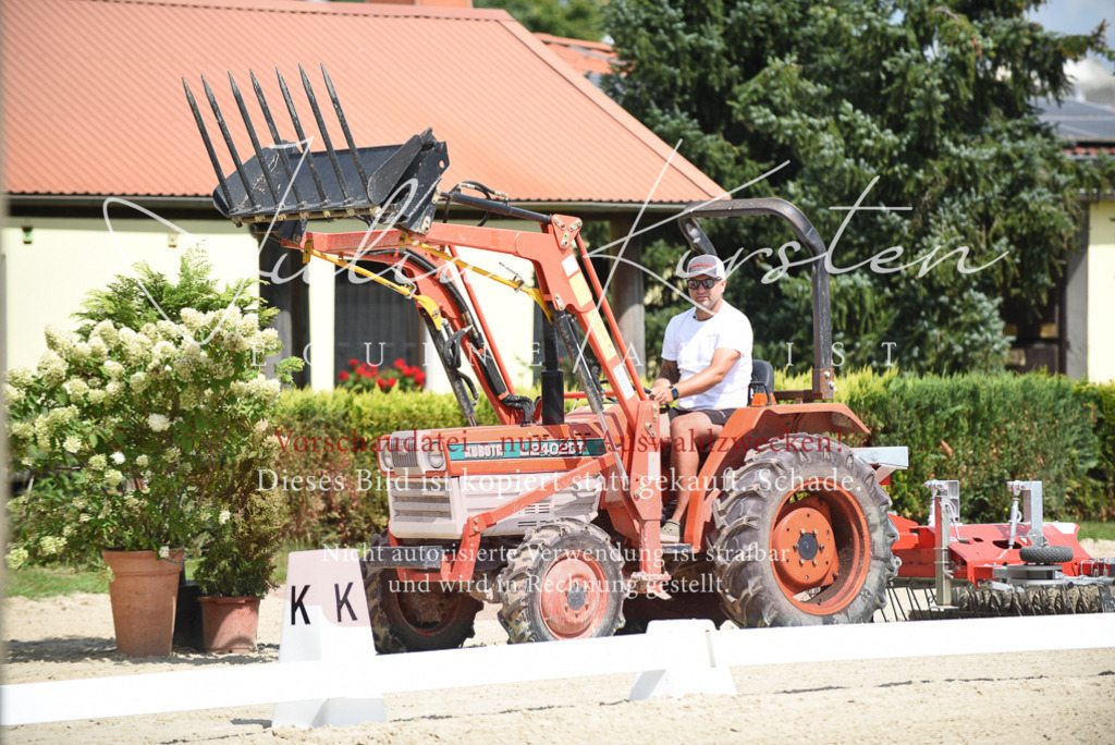 DSC_8985 | Pferde- und Turnierfotografie in Westsachsen. Pferdeportraits, Auftragszeichnungen und intuitive Kunst.