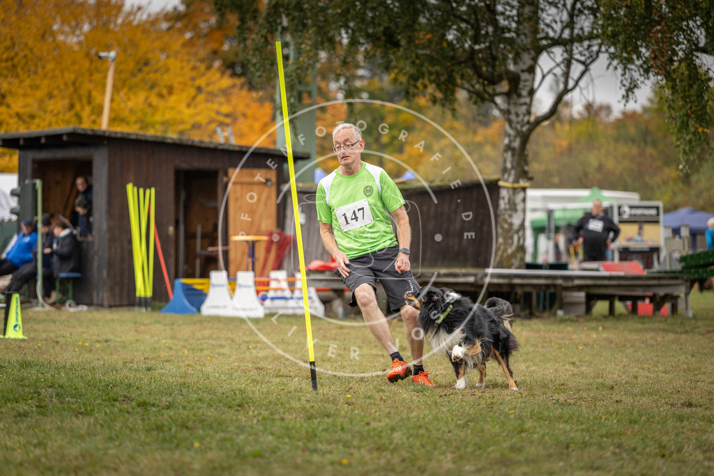 Pfotenfotografie_DV3A6227 | Hundefotografie, Tierfotograf, Pfotenfotografie, Fotoshooting Hund, Hunde Portrait, Hundesport, Hundeportraits, Heideshooting, Hunde, Sportfotograf, Hundefotograf, Turnierhundsport, THS,  - Realisiert mit Pictrs.com