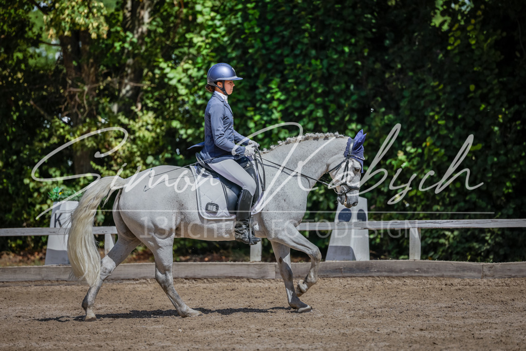 20250906-_3LI5069 | Tierfotografie Pferde, Hunde, Katzen, Haustiere.
Turnierfotografie Reitturniere, Reiten, Springreiten, Dressur in Hanau, dem Main-Kinzig-Kreis und dem Rhein-Main- Gebiet um Frankfurt