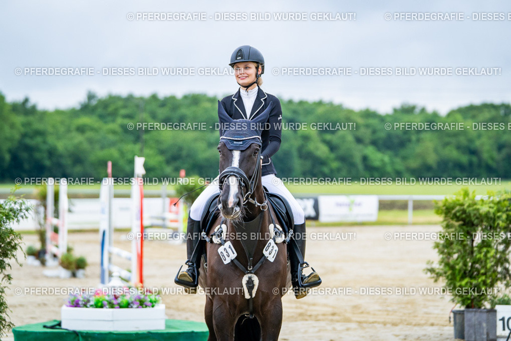 DSC00896 | Pferdegrafie