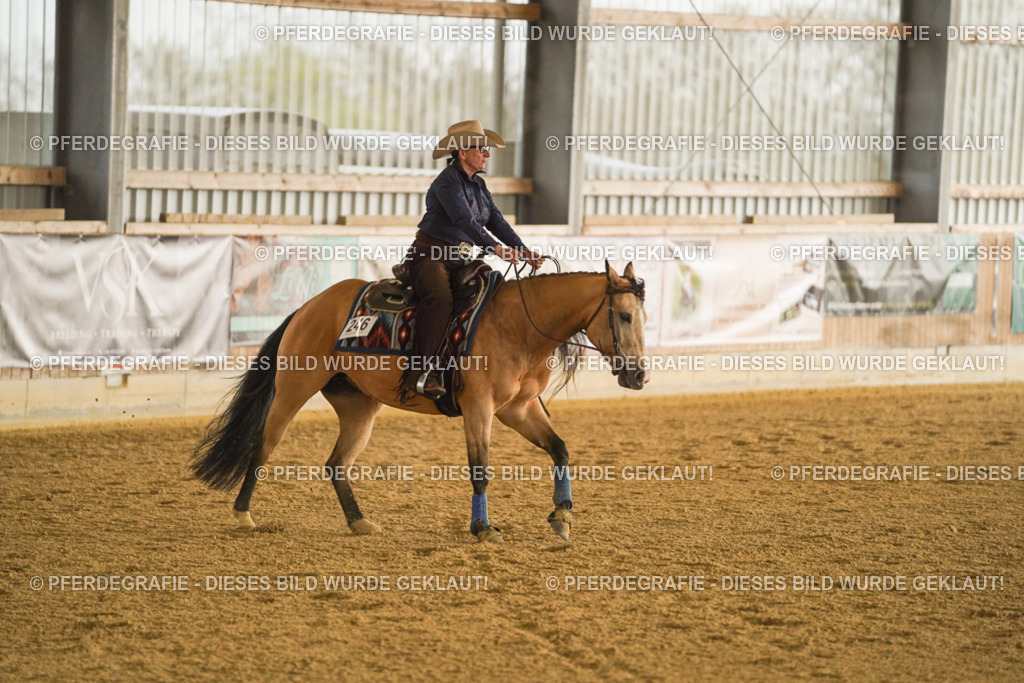 DSC09581 | Pferdegrafie