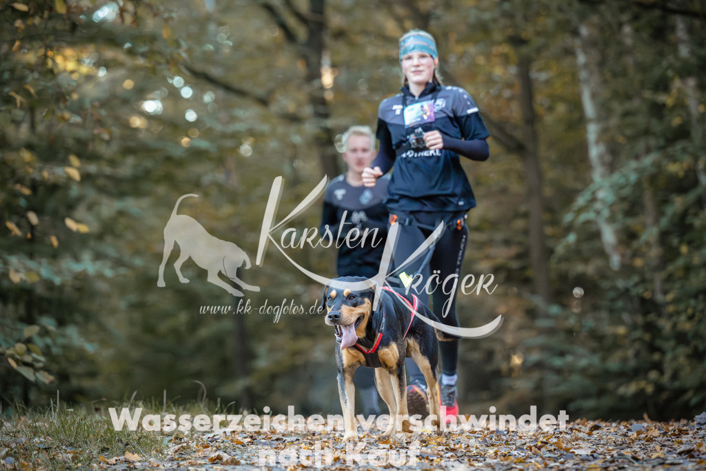 0900_ZZ96815 | kk-dogfotos