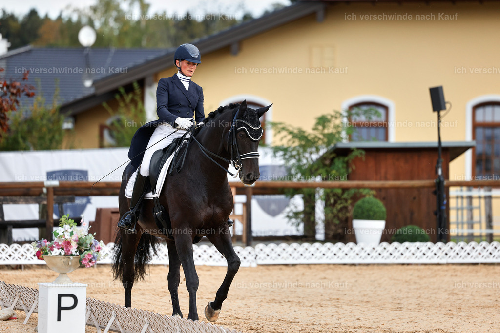 10-115-ST.GEORG SPECIAL -StoibPH-3181 | working equitationturnier fotograf videograf stoibphotography marixx film working equitation deutschland reitsport turnierfotografie eventfotografie equestrian events