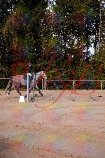 2026_10_03_Siefer-Hof_145033_Z81_28434920 | Professionelle Reitsport-, Turnier- und Eventfotografie von Robert Broda. Galerien mit ausgewählten und bearbeiteten Bildern direkt online ansehen und bestellen.