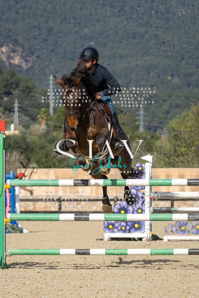 IMG_6845 | s-jay-photography - Realisiert mit Pictrs.com