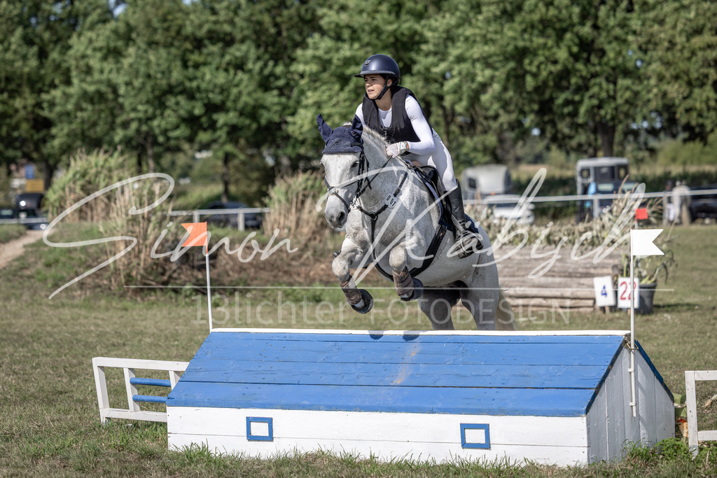 20250907-_3LI9788 | Tierfotografie Pferde, Hunde, Katzen, Haustiere.
Turnierfotografie Reitturniere, Reiten, Springreiten, Dressur in Hanau, dem Main-Kinzig-Kreis und dem Rhein-Main- Gebiet um Frankfurt