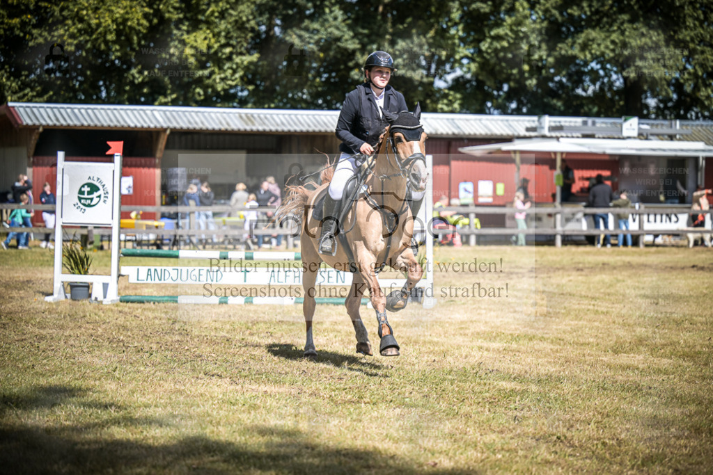 DOS_0258 | Entdecke hochwertige Reitturnierfotos von Foto Oger. Professionell, emotional und authentisch – jetzt Lieblingsmomente im Shop bestellen. - Realisiert mit Pictrs.com