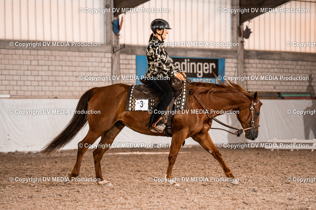 ZH100198 | dv-media-shop - Realisiert mit Pictrs.com