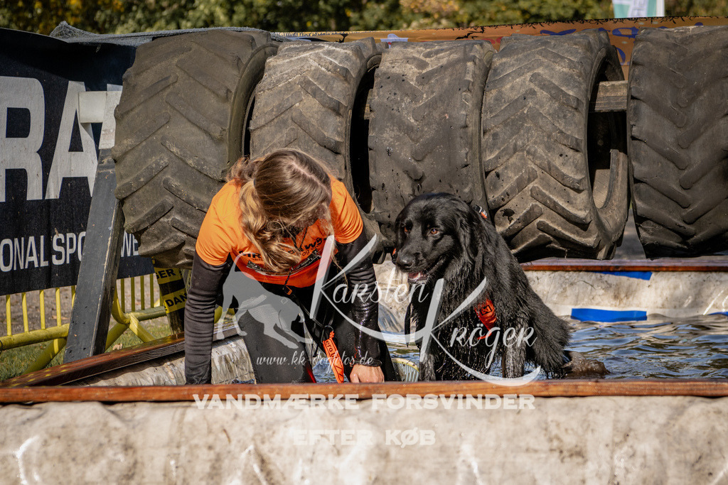 1322_ZZ92559 | kk-dogfotos