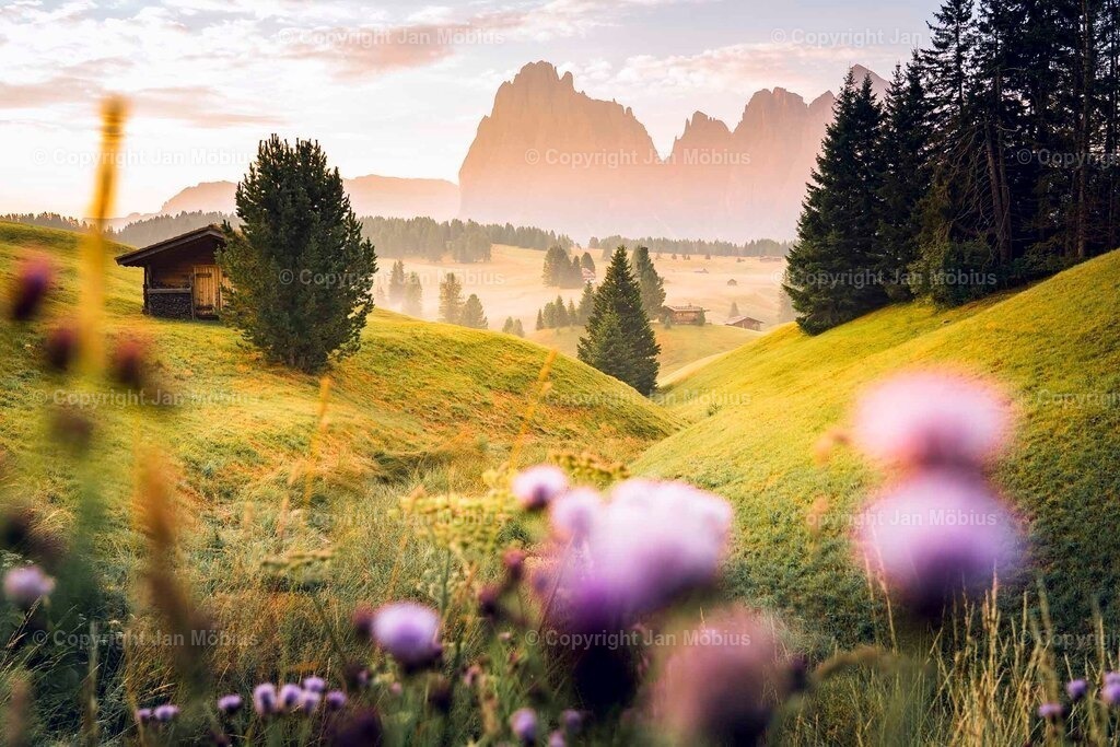 _DSC2024 | Leipzig Wandbilder Drucke Prints Leinwand Stadtmotive Leipzig Fotosdruck Kunstdrucke Bilder Leipzig Stadtansichten Acrylglasbilder Leipzig Wanddeko Fine Art Prints Wandbilder Büro Leipzig Bilder Praxis Zuhause Bilderdruck Poster Posterlounge Kunstdrucke - Realisiert mit Pictrs.com