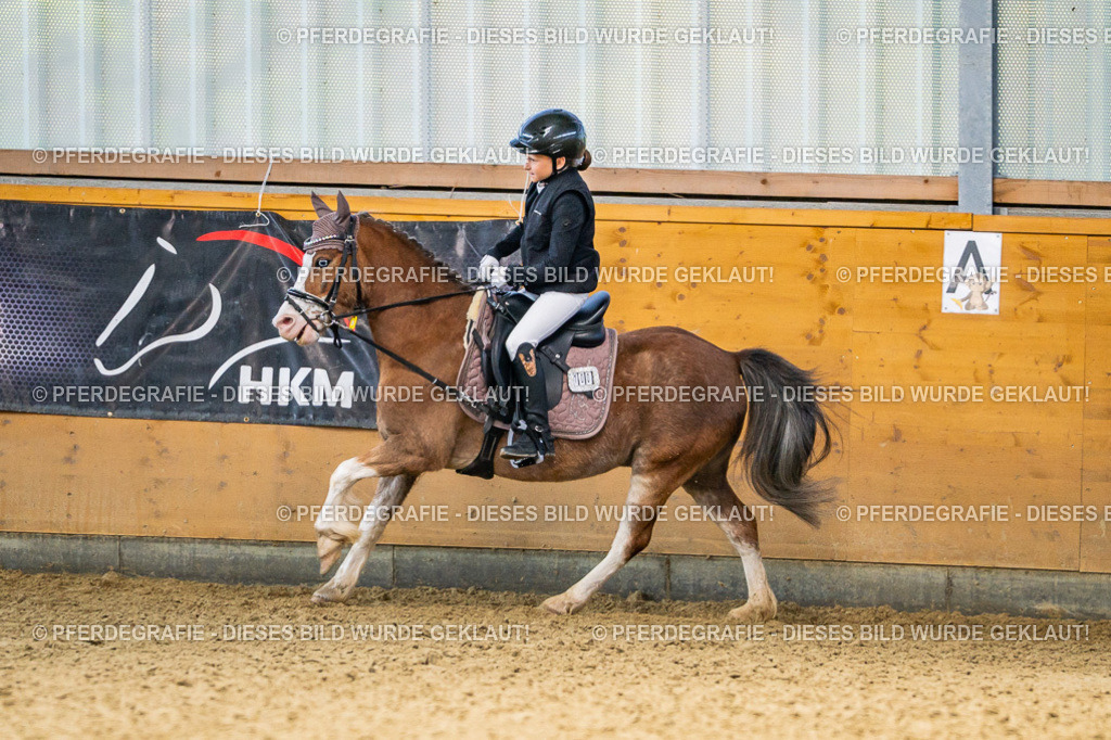 DSC02984 | Pferdegrafie