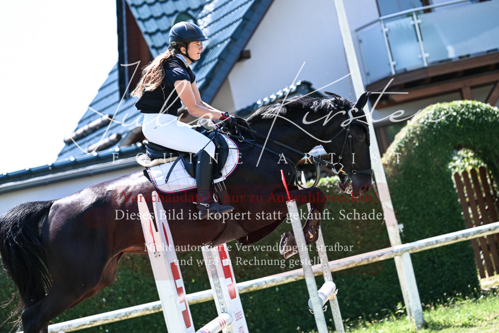 DSC_0515 | Pferde- und Turnierfotografie in Westsachsen. Pferdeportraits, Auftragszeichnungen und intuitive Kunst.