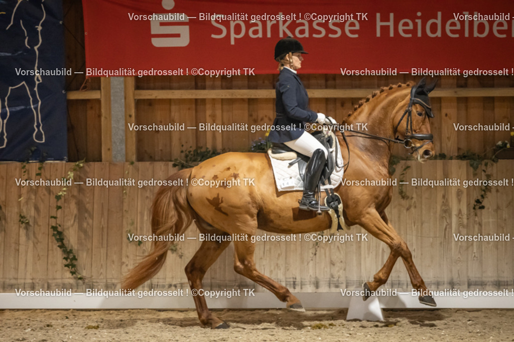 _D5A0820 | Emotionale Pferde- & People-Fotografie rund um Heidelberg, Leimen & Umgebung. Natürliche Fotos von Pferd, Mensch & Familie. Jetzt Termin sichern!