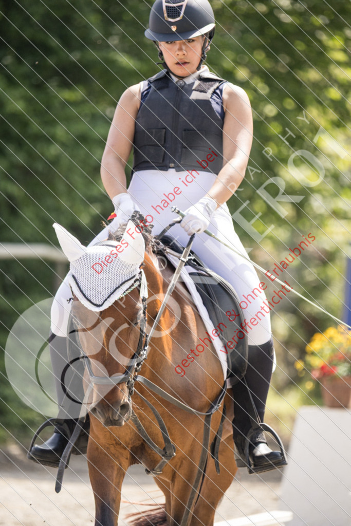 IMG_4897 | Sport-, Event- und Tierfotos in Profiqualität. Einfach auswählen, bestellen und herunterladen. Dein Moment – perfekt festgehalten.