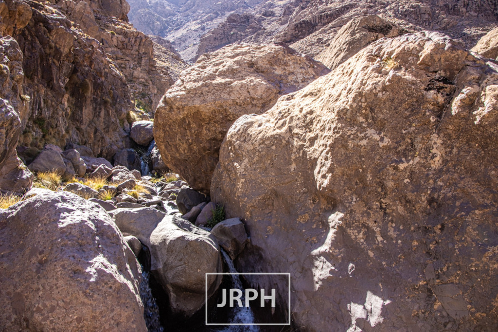 IMG_8843 | jrph - Realisiert mit Pictrs.com