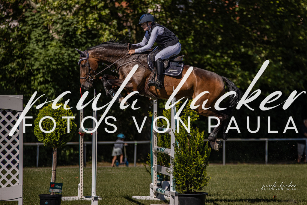 IMG_0697 | Erleben Sie dynamische Sport- und emotionale Tierfotografie in Süddeutschland mit Fotos von Paula. Spezialisiert auf Pferde- und Hundefotografie sowie Sportevents. Kontaktieren Sie mich für einzigartige und ausdrucksstarke Bilder Ihrer besonderen Momente. - Realisiert mit Pictrs.com