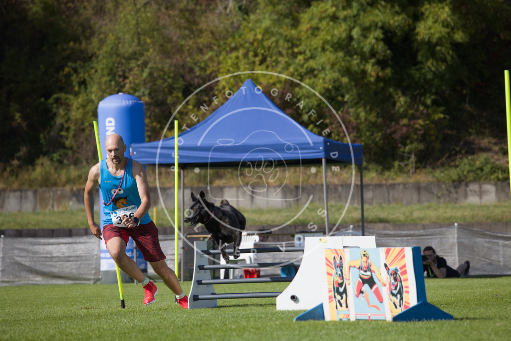 0L8A8167 | Hundefotografie, Tierfotograf, Pfotenfotografie, Fotoshooting Hund, Hunde Portrait, Hundesport, Hundeportraits, Heideshooting, Hunde, Sportfotograf, Hundefotograf, Turnierhundsport, THS,  - Realisiert mit Pictrs.com