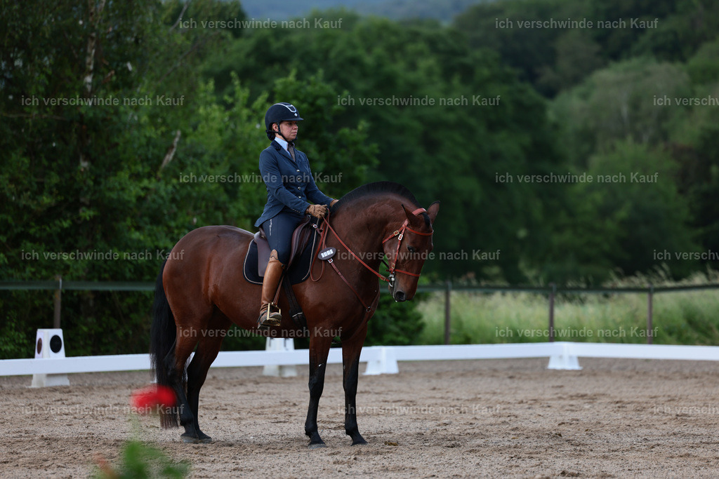 KlasseL_Stoibphotography_CAM20979.JPG | working equitationturnier fotograf videograf stoibphotography marixx film working equitation deutschland reitsport turnierfotografie eventfotografie equestrian events