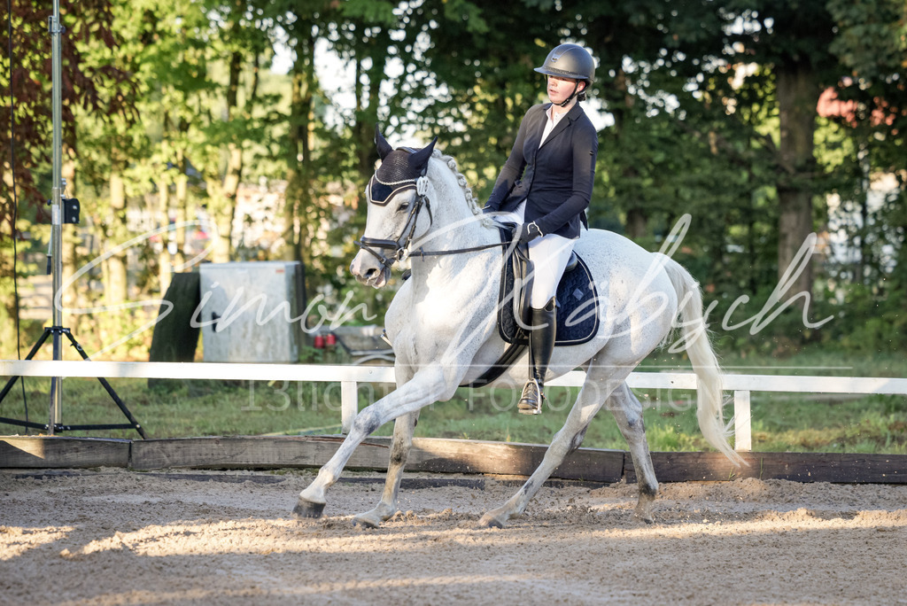 20250906-_3LI2564 | Tierfotografie Pferde, Hunde, Katzen, Haustiere.
Turnierfotografie Reitturniere, Reiten, Springreiten, Dressur in Hanau, dem Main-Kinzig-Kreis und dem Rhein-Main- Gebiet um Frankfurt