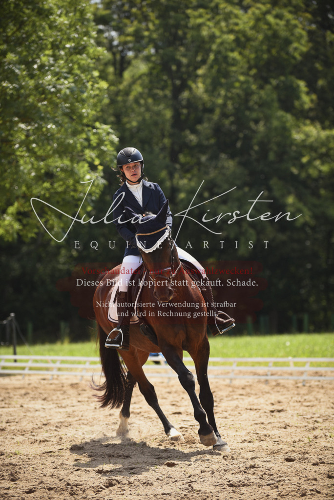 DSC_0992 | Pferde- und Turnierfotografie in Westsachsen. Pferdeportraits, Auftragszeichnungen und intuitive Kunst.
