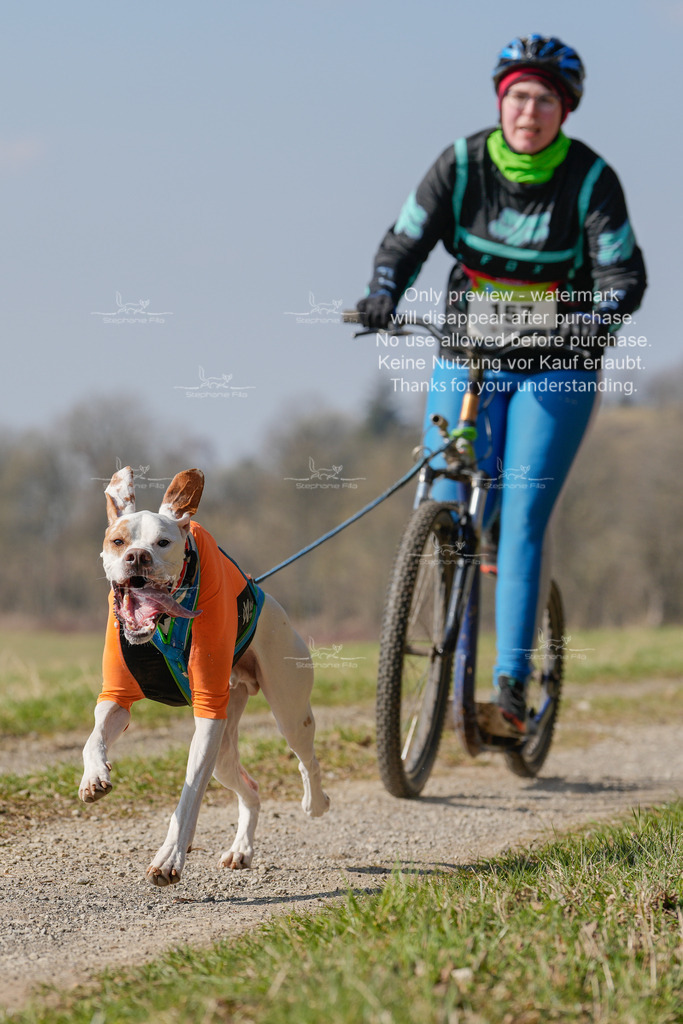 Scooter_Lang-121 | stephaniefillaphotographie - Realisiert mit Pictrs.com