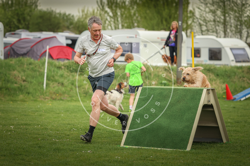 Pfotenfotografie_0L8A0993 | Hundefotografie, Tierfotograf, Pfotenfotografie, Fotoshooting Hund, Hunde Portrait, Hundesport, Hundeportraits, Heideshooting, Hunde, Sportfotograf, Hundefotograf, Turnierhundsport, THS,  - Realisiert mit Pictrs.com