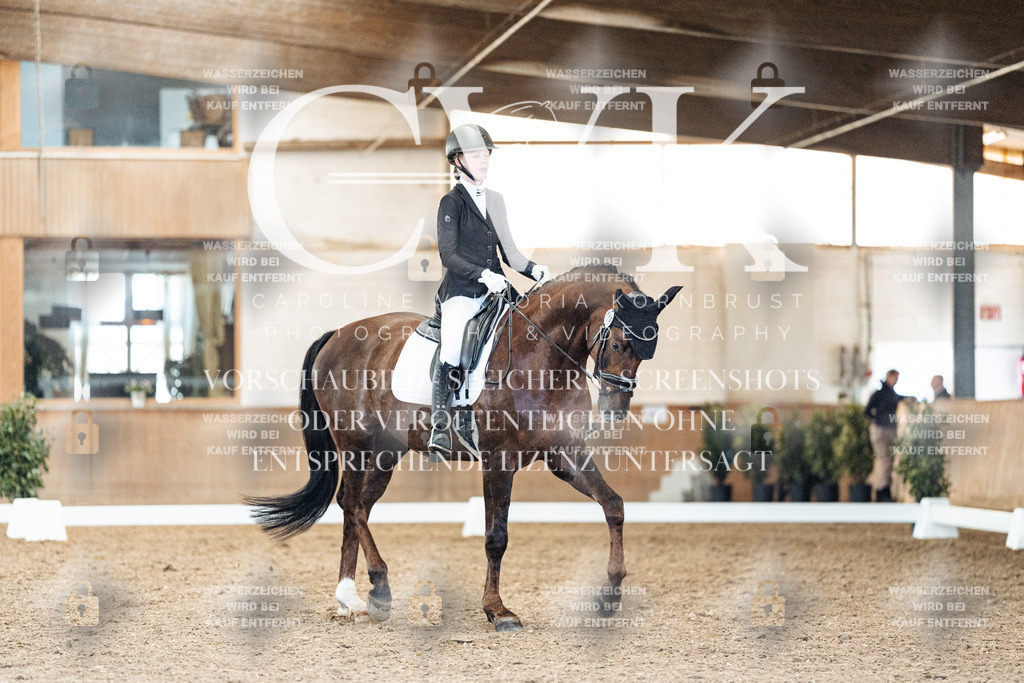 CK909476 | Turnierfotografie Pferdefotografie Trier Rheinland-Pfalz Pferdesport Reitsport Tierfotografie Sportfotografie Pferdevideo Pferdevideografie Equestrianvideography equestrianphotography  - Realisiert mit Pictrs.com