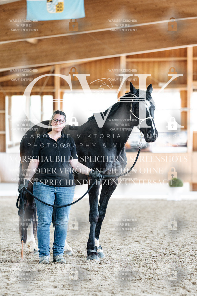 CK908041 | Turnierfotografie Pferdefotografie Trier Rheinland-Pfalz Pferdesport Reitsport Tierfotografie Sportfotografie Pferdevideo Pferdevideografie Equestrianvideography equestrianphotography  - Realisiert mit Pictrs.com