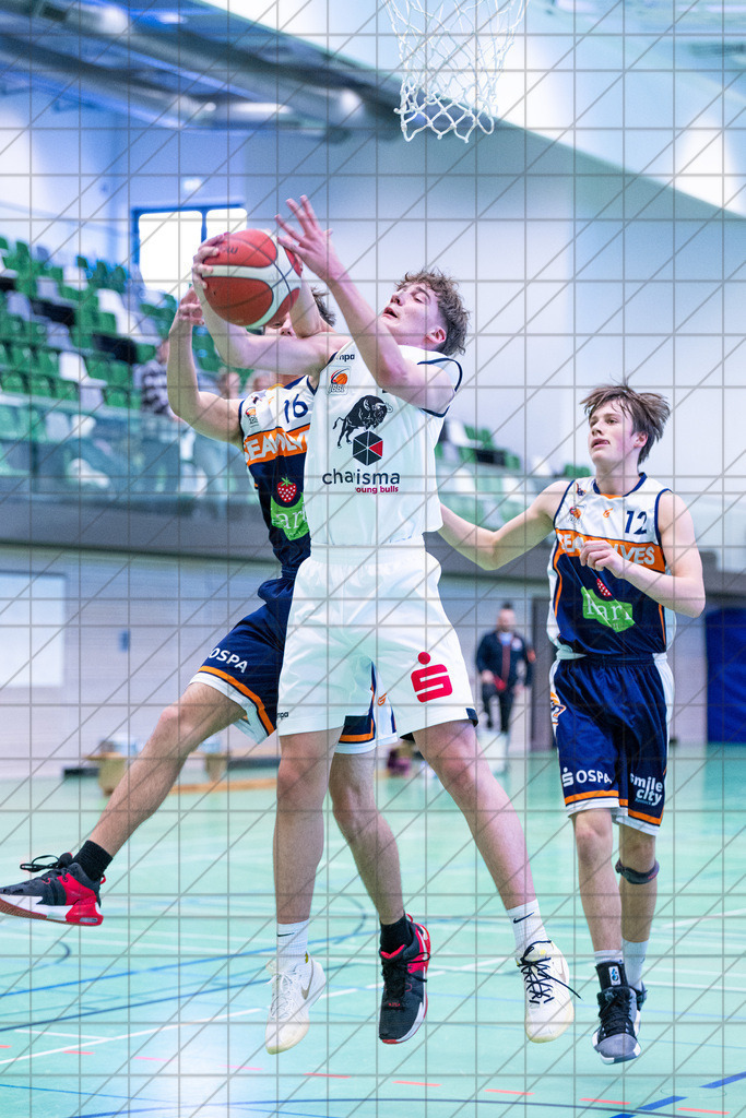 JBBL 24/25 | 19.01.2025 | Charisma Young Bulls vs. Rostock Seawolves | JBBL 24/25 | 19.01.2025 | Charisma Young Bulls vs. Rostock Seawolves - - - - - CREDIT, www.bullenfotos.de, Martin König, Hörner Weg 40, D-49078 Osnabrück, +4917663732967, Nutzung und Weitergabe nur zu den vereinbarten Zwecken. Presseanfragen an Urheber. Alle Rechte beim Urheber. - - - - - - Realisiert mit Pictrs.com
