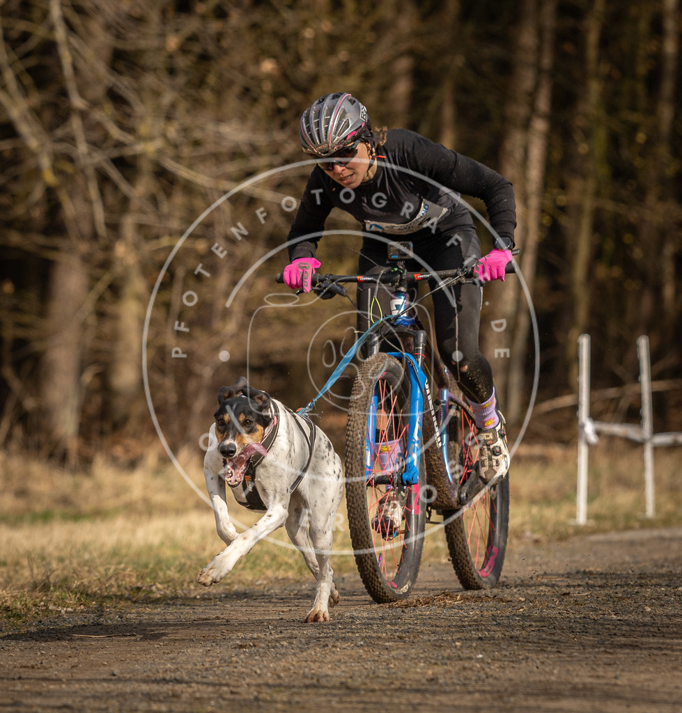 DV3A4234 | Hundefotografie, Tierfotograf, Pfotenfotografie, Fotoshooting Hund, Hunde Portrait, Hundesport, Hundeportraits, Heideshooting, Hunde, Sportfotograf, Hundefotograf, Turnierhundsport, THS,  - Realisiert mit Pictrs.com