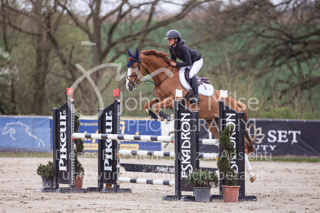 250417_Springpferde-L2-322 | Deine schönsten Turniermomente als professionelle Fotos! Entdecke hochwertige Pferdesport-Fotografie im Online-Shop. Jetzt Fotos finden & bestellen!