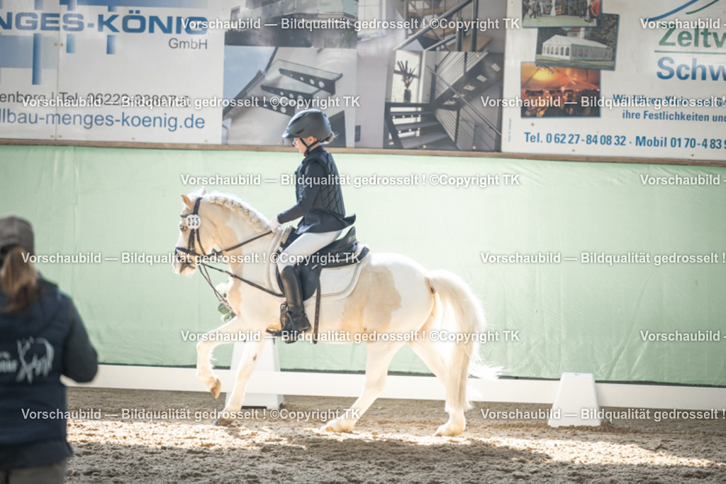 _D5A8847 | Emotionale Pferde- & People-Fotografie rund um Heidelberg, Leimen & Umgebung. Natürliche Fotos von Pferd, Mensch & Familie. Jetzt Termin sichern!