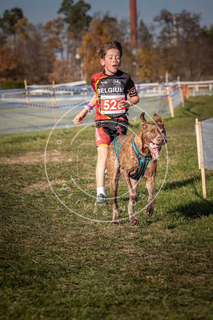 CaniXpix_0L8A7287 | Hundefotografie, Tierfotograf, Pfotenfotografie, Fotoshooting Hund, Hunde Portrait, Hundesport, Hundeportraits, Heideshooting, Hunde, Sportfotograf, Hundefotograf, Turnierhundsport, THS,  - Realisiert mit Pictrs.com