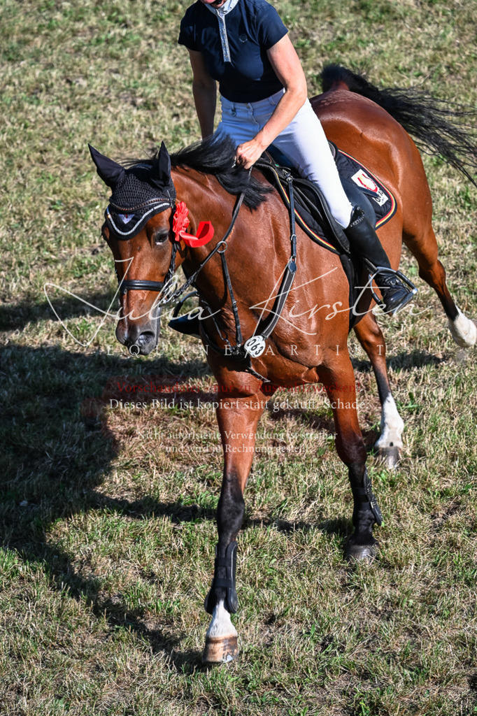 DSC_2631 | Pferde- und Turnierfotografie in Westsachsen. Pferdeportraits, Auftragszeichnungen und intuitive Kunst.