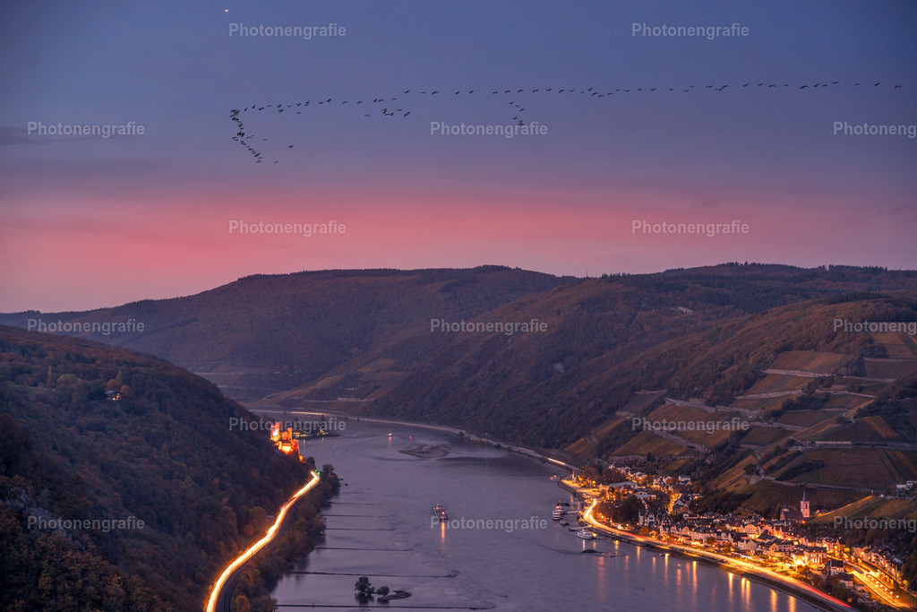 Vater Rhein_ | Photonengrafie´s Shop - Realisiert mit Pictrs.com